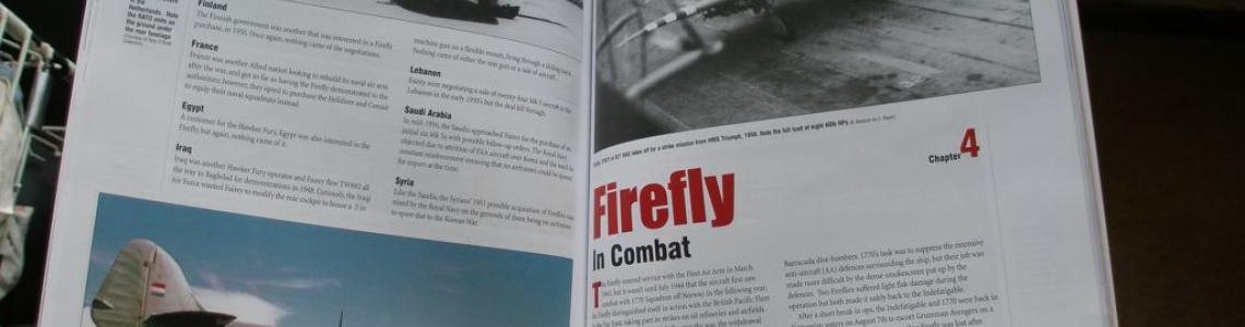 Firefly in Combat