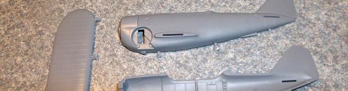 Fuselage interior and wings