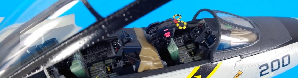 Finished Cockpit and Canopy