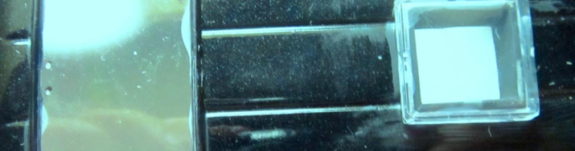 Moon roof and skylight.