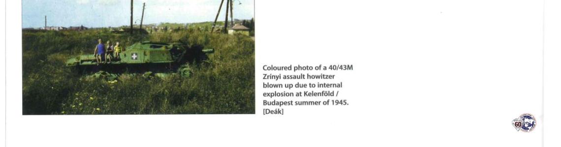 Misc Image 2