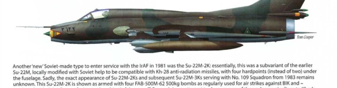Color Aircraft Profiles