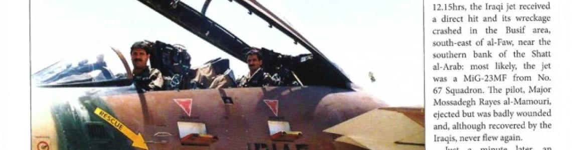 Iranian F-14 Persian Tomcat