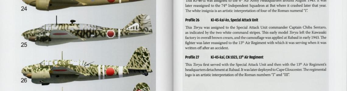 page excerpt 4