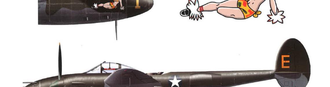 Page 55: Profiles of a P-38G and P-38H