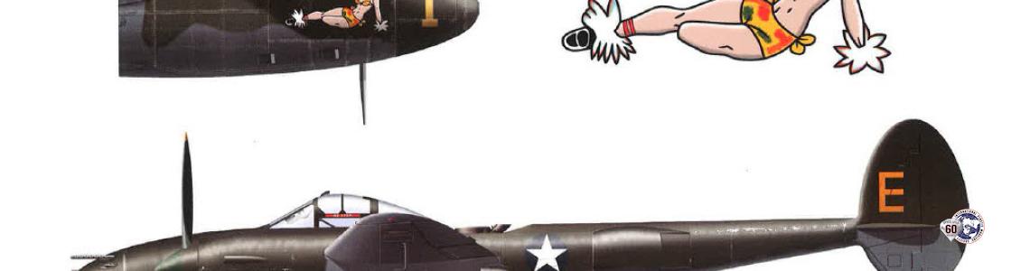 Page 55: Profiles of a P-38G and P-38H