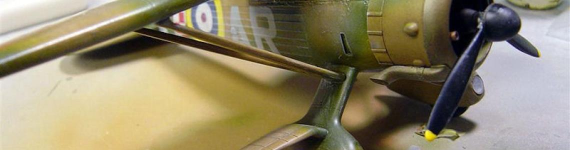 Highlighting and Weathering 