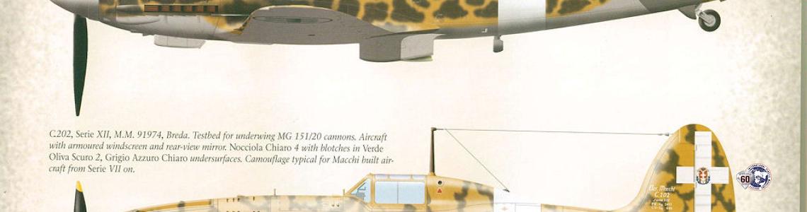 Sample profile 2