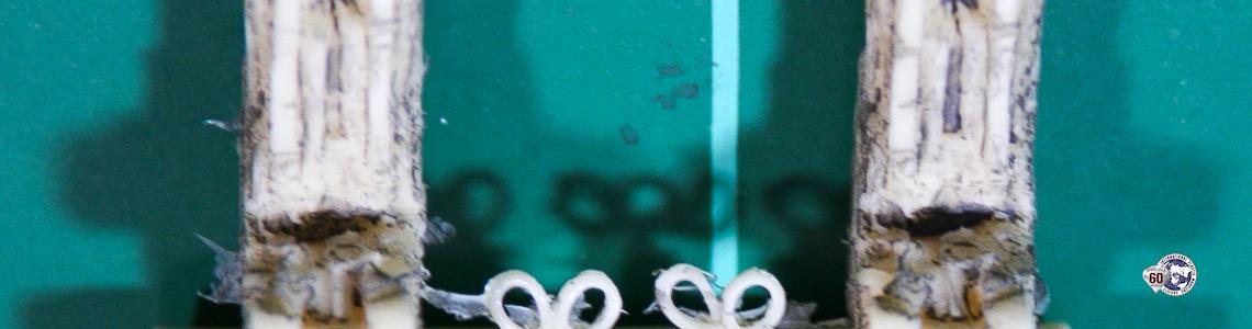 Resin Ejection Seats with Dark Wash to Highlight Details