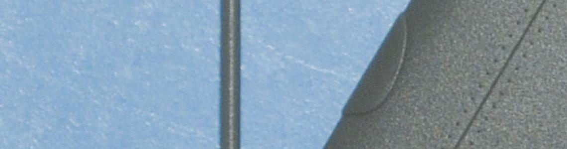 Trumpeter Wing Pitot