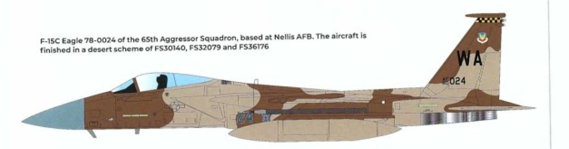 The McDonnell Douglas F-15 Eagle US Air Force and International