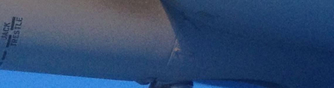 Tail strut and wheel