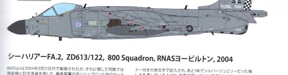  Hasegawa 1:72 Scale SU-33 Flanker D Model Kit : Arts