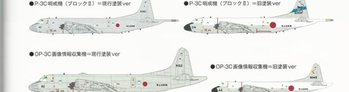 P-3 Article - Sample