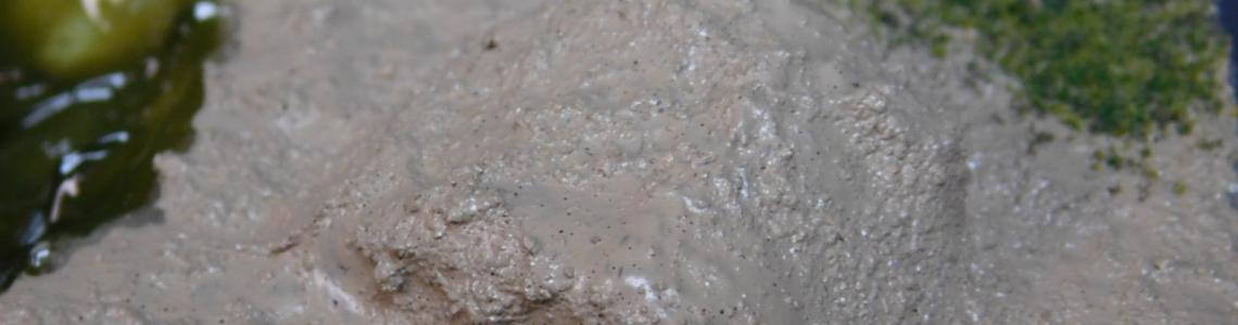 Dry Earth Ground Dry Closeup