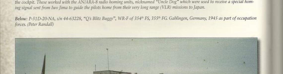 Mustang Photo Example