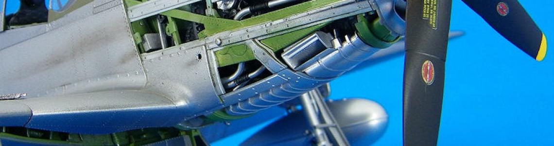 Merlin front right low