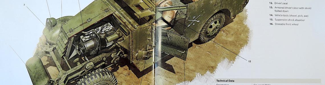 Sample Color Illustration