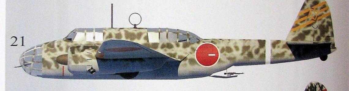 Ki-48 Profiles