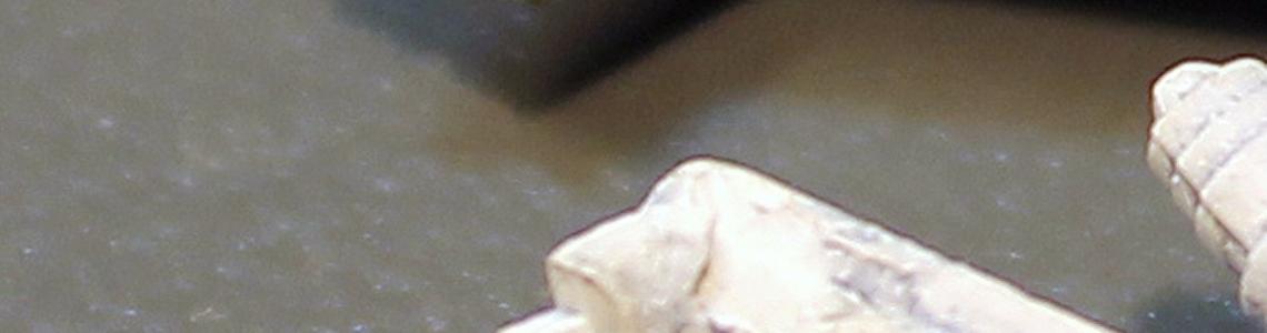 Attachment Notch, SAC & Kit