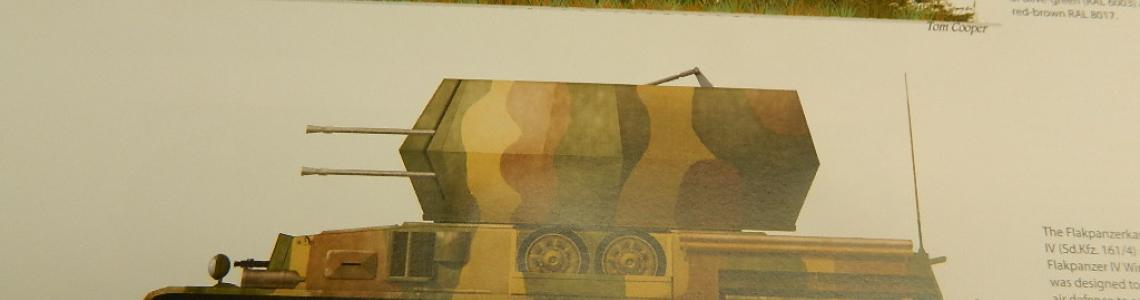 Panzerjager and Flak Variant