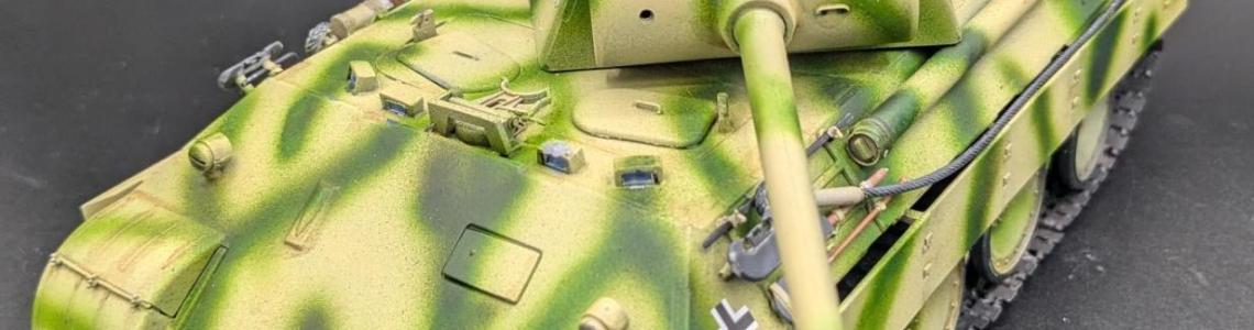 Painted Panther front left