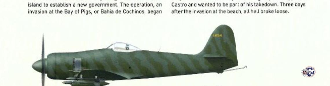 Misc Image 6