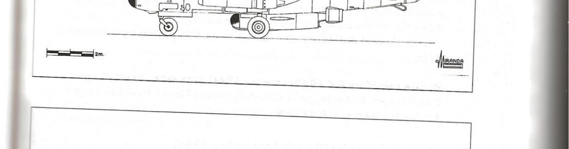 Page Excerpt 1