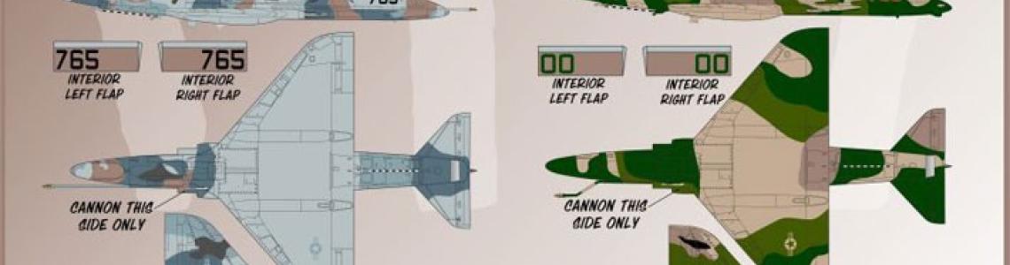 Color and placement guide