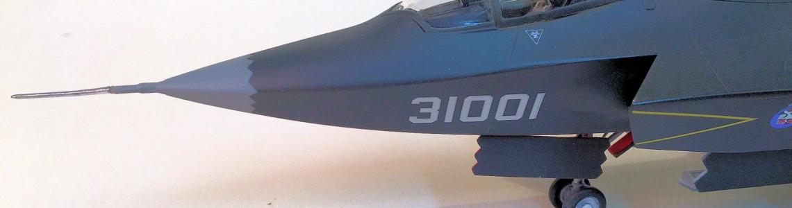 Nose with New Pitot Tube