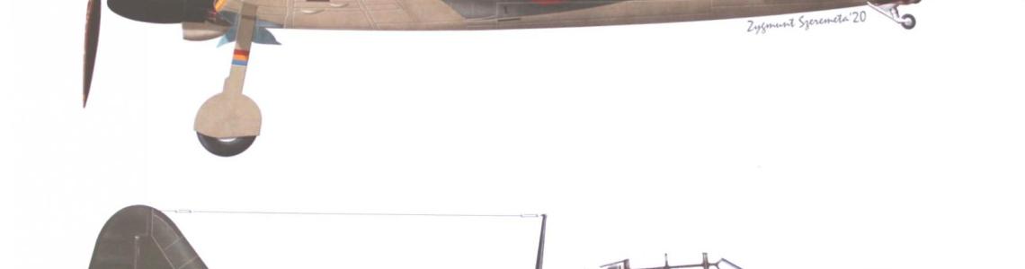 Profile Illustration 2