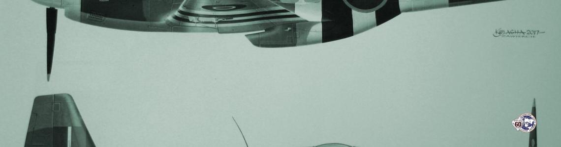 Misc Image 6