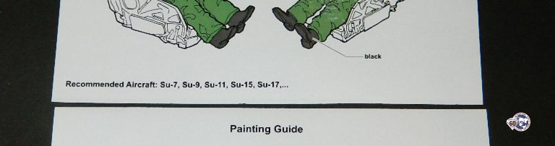 Paint guide