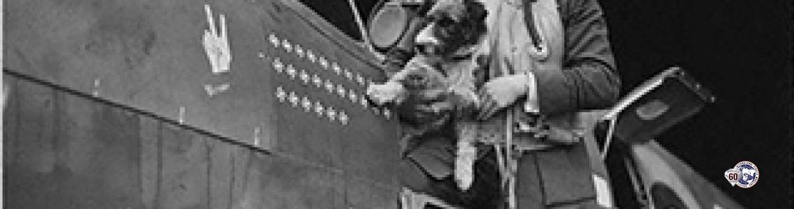 spitfiresTOP