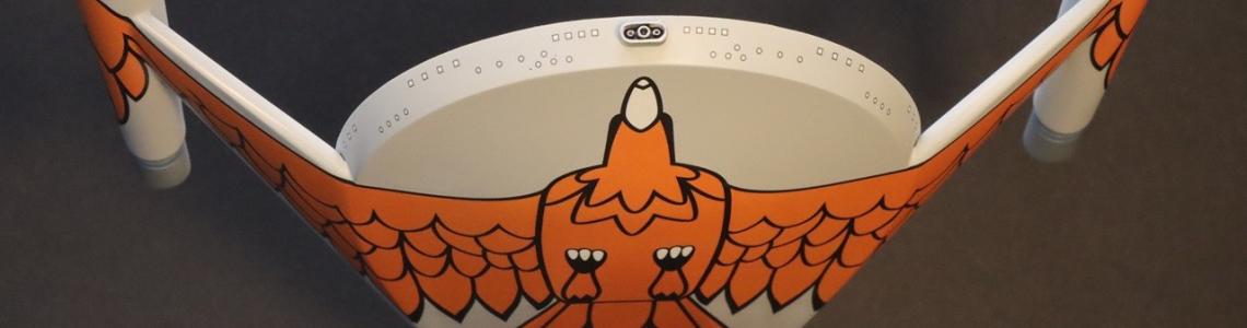 Bird of Prey - Underside