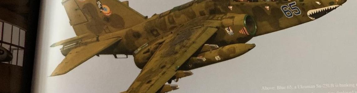 21 Speed Brakes deployed in Flight