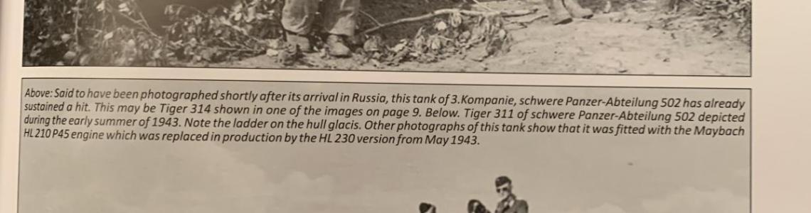 Black and White Images