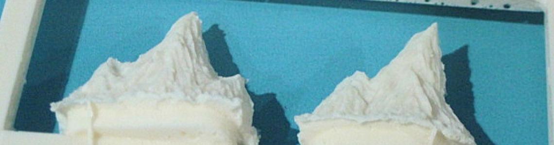 Godzilla fins with thick attachment points close up