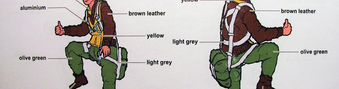 Painting suggestions, soft cap