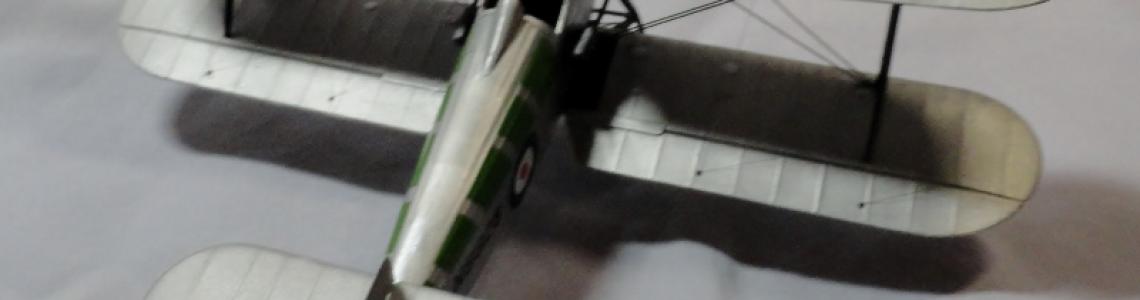 Right rear view of Flycatcher, above