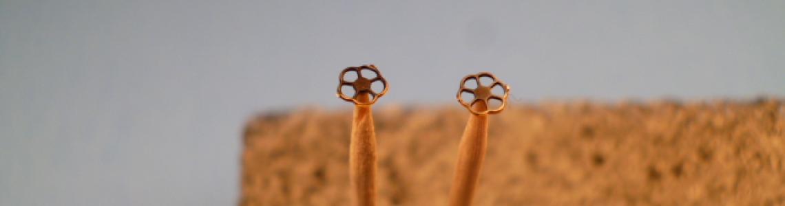 Wheel on Toothpick 5