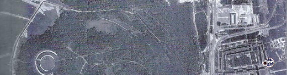 p 013