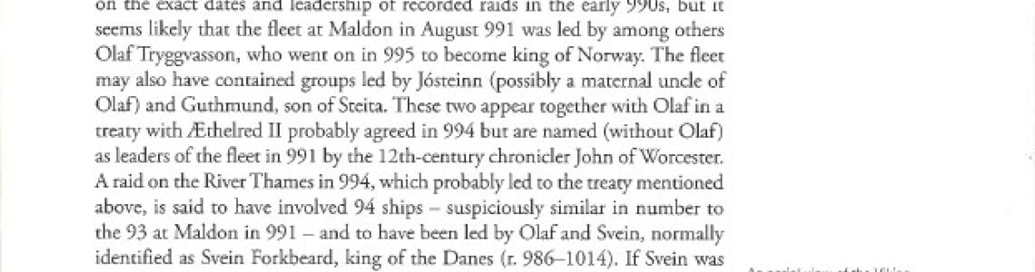 Viking Ring Fortress