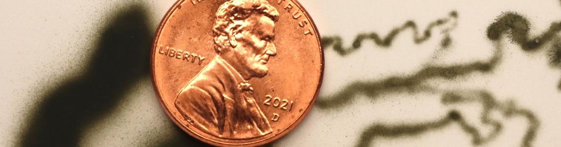 CM WWII British Royal Navy Paint Set Spay Pattern 